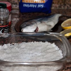 Ингредиенты для приготовления рыбы Дорада и форма с солью