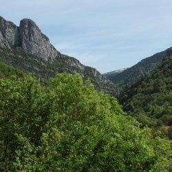 Природа в Пиренеях Испании