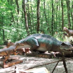 Семейка акрокантозавров - ящеры с высокими шипами