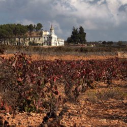 Виноградники в винодельческом районе Утьель-Рекена в Валенсии