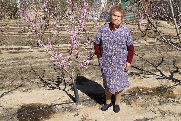 Хозяйка персикового сада