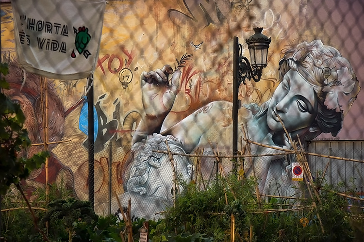Сад-огород и граффити в квартале Кармен
