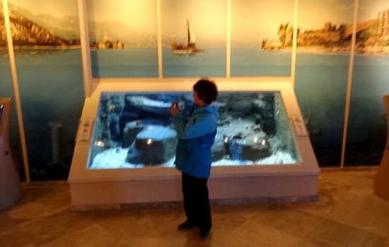 В Стамбульском аквариуме